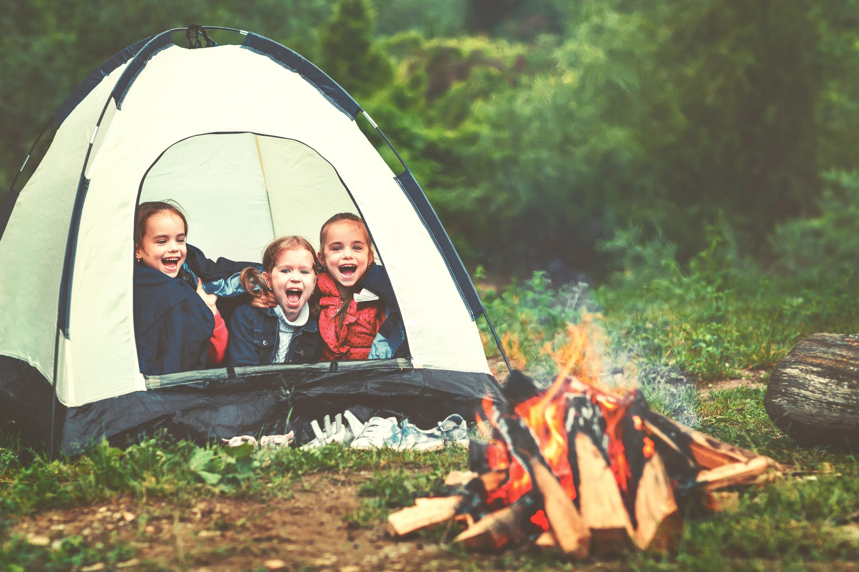 Camping is fun. Детский туристический шатер. Детский лагерь в палатках. Дети в палатке на природе. Идей для фотосессии с детьми в палатке.