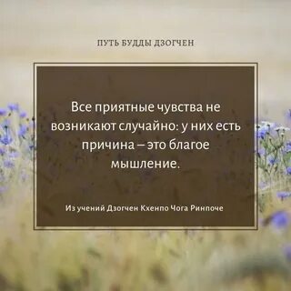 Будда наставления
