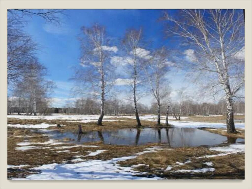 Живой мир весной. Картинки весенние явления. Весенние явления в природе фото.