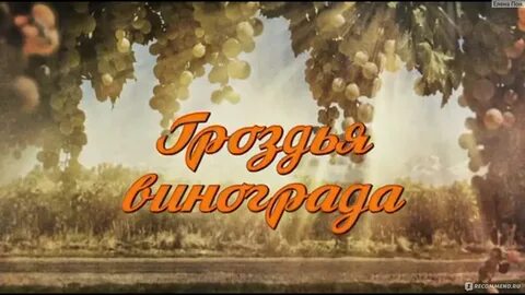 Гроздья винограда 2016