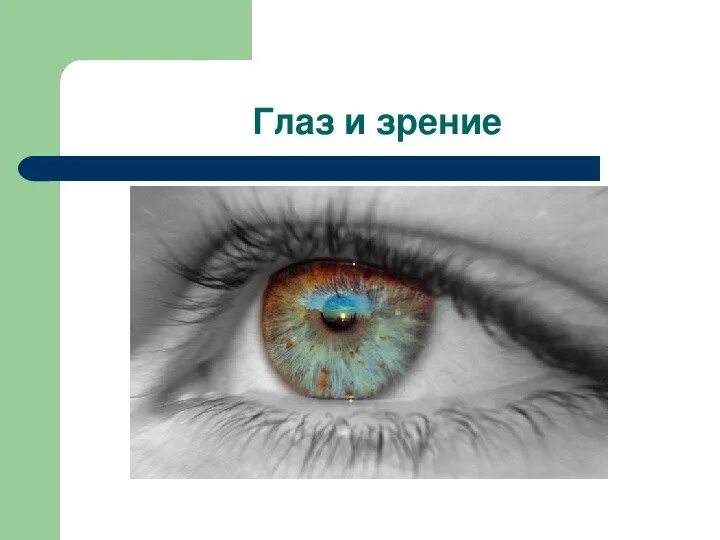 Доклад на тему зрения. Глаз и зрение презентация. Глаза орган зрения. Зрение для презентации.