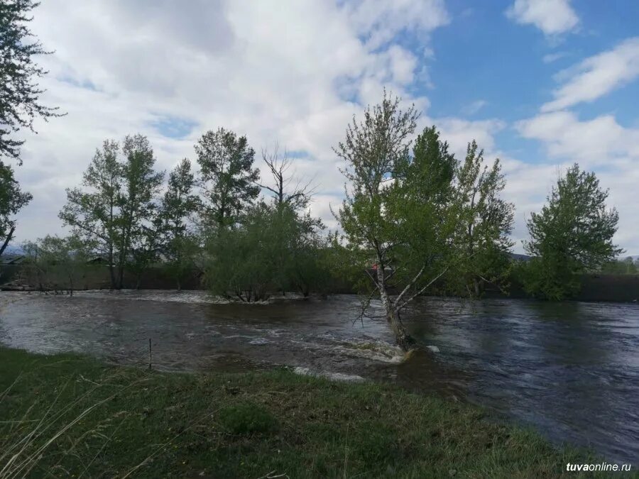 Дорога пересекает реку. Оттук Даш Кызылский район. Арбан река. Пруд в Туве. Белег речка в Туве.