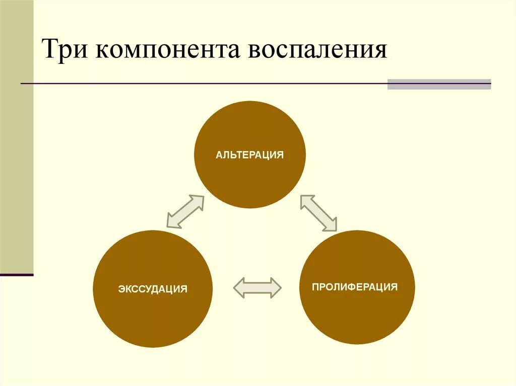 Три элемента можно. Альтерация пролиферация. Альтерация экссудация пролиферация. Экссудация пролиферация. Фазы воспаления альтерация экссудация пролиферация.