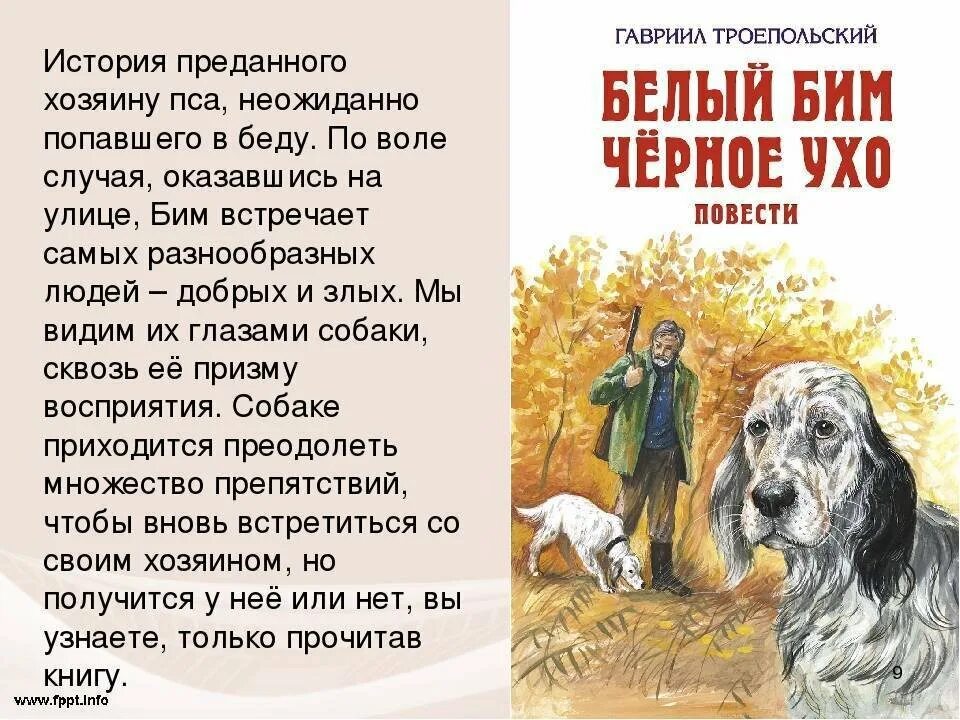 Троепольский белый бим черное ухо краткое содержание. Г троепольский белый бим черное ухо читательский дневник. Г троепольский белый бим черное ухо. Троепольский повесть белый бим черное ухо. Белый бим черное ухо троепольский читательский дневник.
