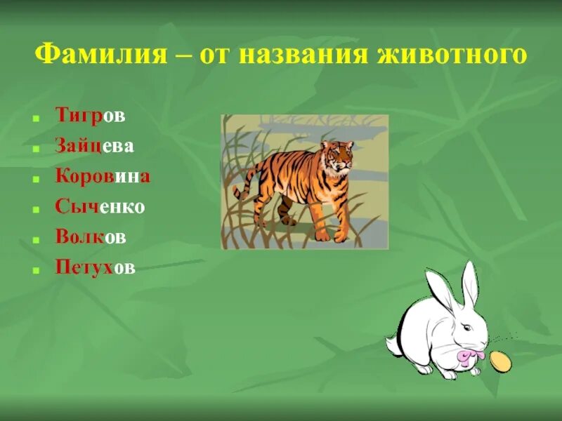 Почему зверей называют зверями. Фамилии от животных. Фамилии от названий животных. Названия животных имена. Фамилии от названия животных и птиц.