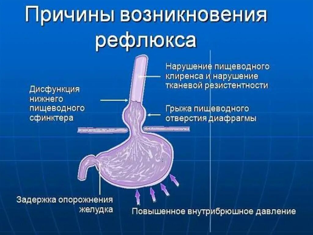 Функция кардии