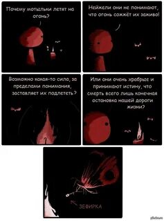 Почему мотыльки свет