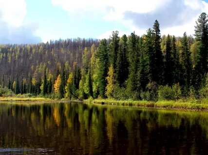 Фгбу среднесибирское