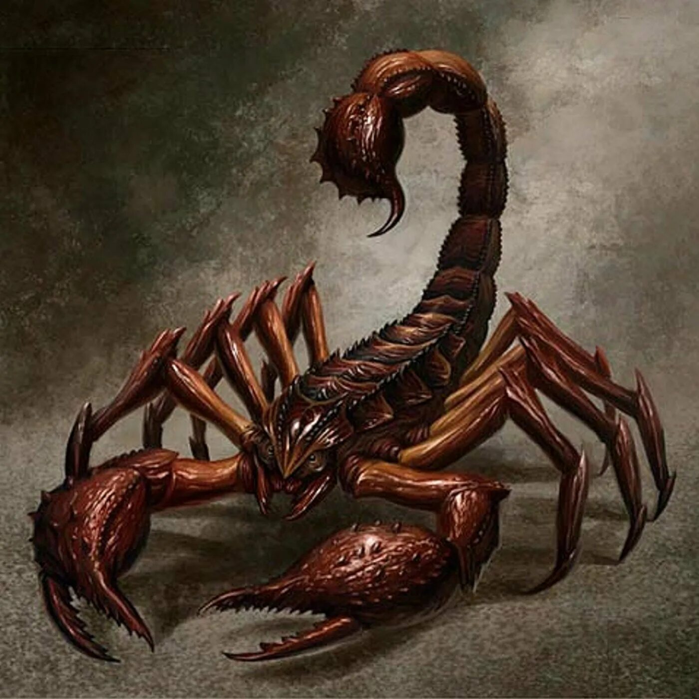 Скорпион дата выхода. Арахнид скорпион. арахнид скорпион монстр. гигантский скорпион днд. арахнид самец монстр.