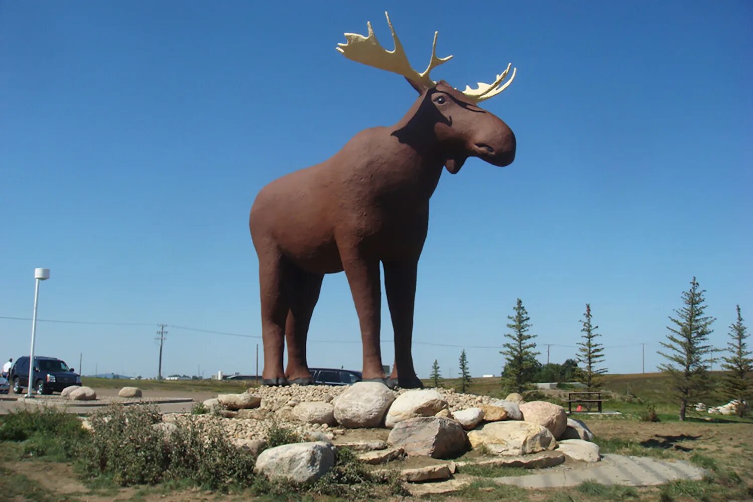 Канадский лось. Лось восточно канадский. Рог канадского лося. Канадский лось. Олень вапити в северной америке.