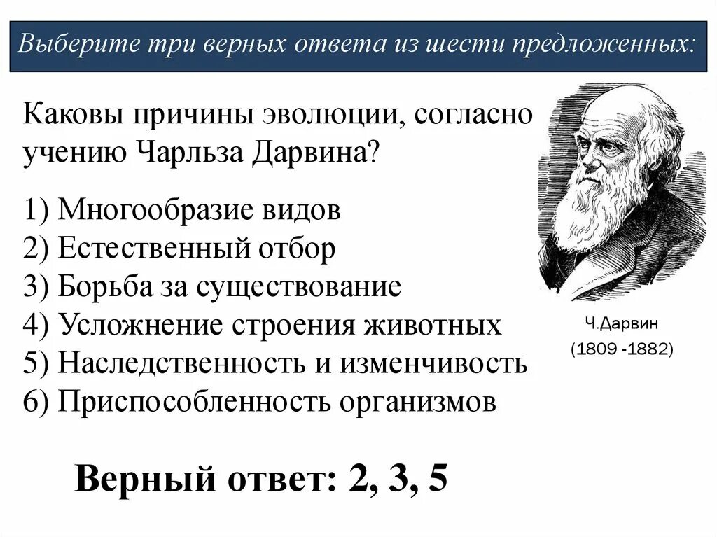 Адаптации дарвин. Эволюции согласно учению Чарльза Дарвина. Причины эволюции. Согласно теории Дарвина.