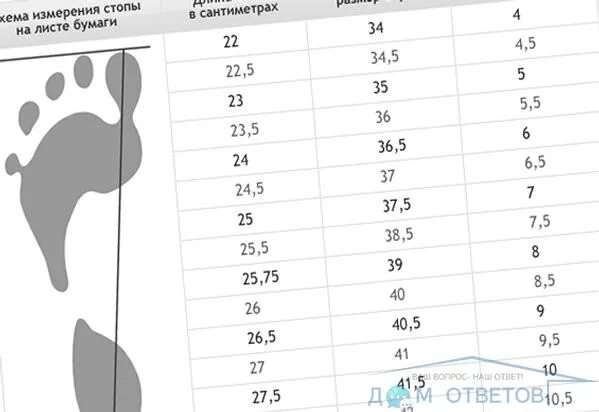 Размер ноги. Размер подошвы. Размеры стопы в сантиметрах. Ширина подошвы обуви.
