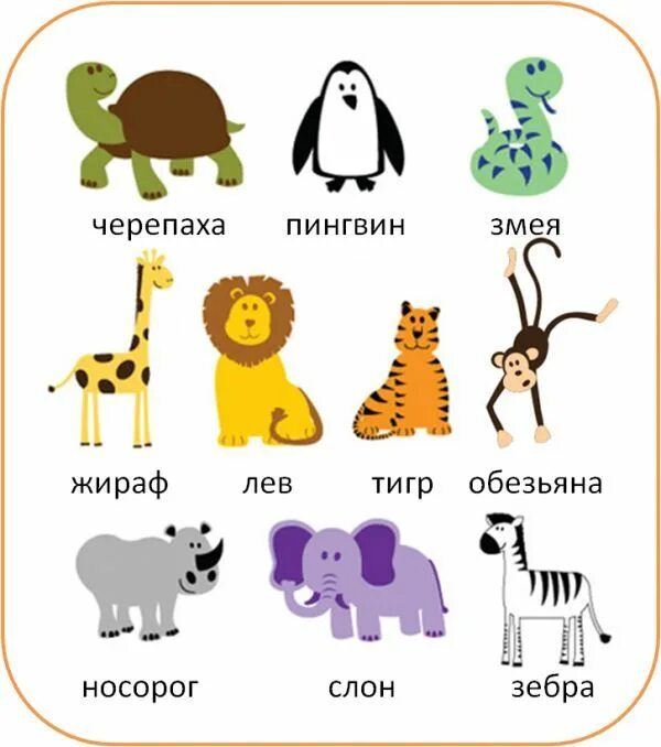 Все имена животных. Название животных. учим названия животных. дети животных названия. название животных на русском.