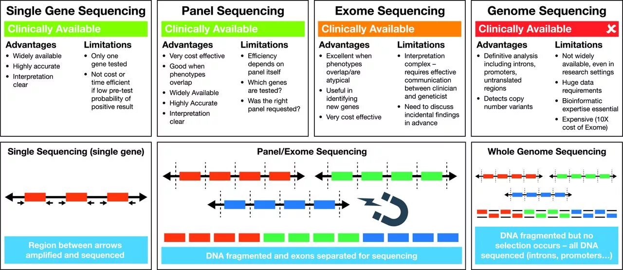 Ген тест 1. Gene sequencing. Sequencing Gene Sanger. Exome sequence. Smrt прибор Single-molecule real-time sequencing.