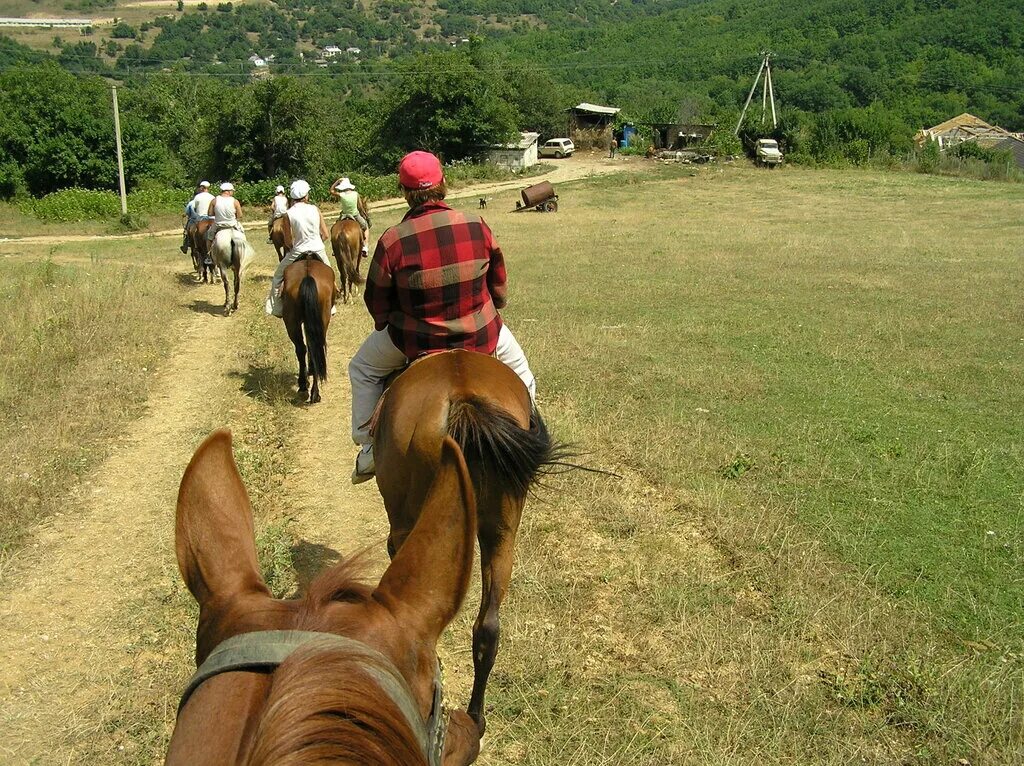 конные прогулки севастополь. конный спортклуб ход конём. ход конем севастополь. ход конем севастополь. конюшня смоленск.