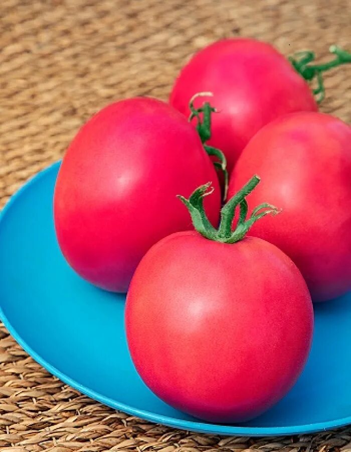 Томат малиновый звон f1. Семена томат малиновый звон. Малиновый звон f1. Помидоры звон