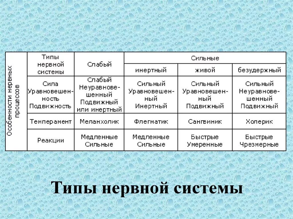 Компоненты характеристики человека. Типы нервной системы. Тип типы нервной системы. Типы нервной системы таблица. Типы нервной системы у животных.