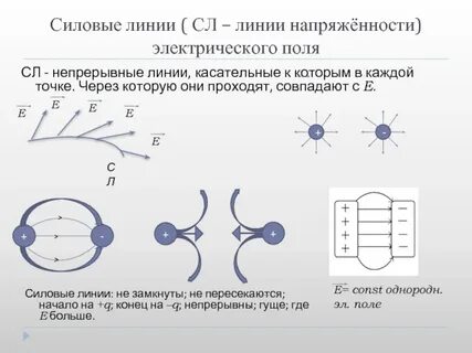 Линии напряженности поля конденсатора