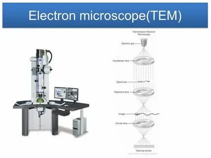 Transmission microscopy