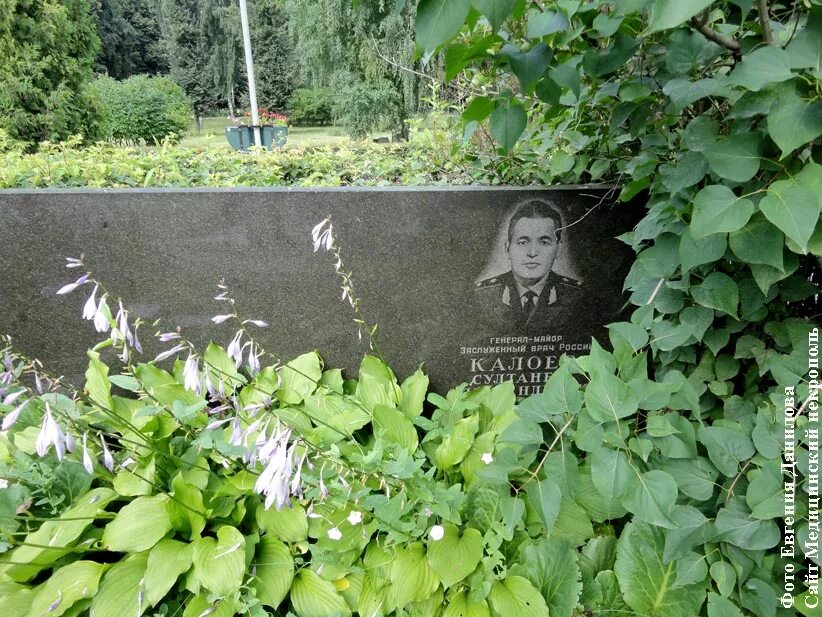 История калоева авиакатастрофа. Калоев могила. Калоевы могила фото. Могила врача.