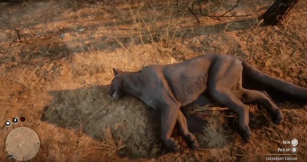 Rdr 2 Пума. Легендарная Пума rdr 2. Rdr 2 Puma Hunting.