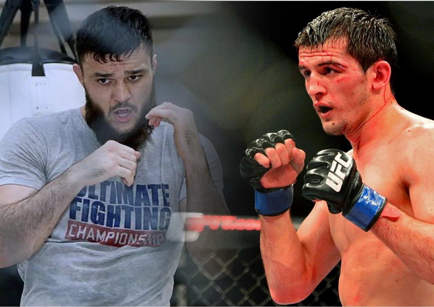 Ильяс туменов. Хусейн туменов. Альберт туменов. Тумен туменов. Альберт туменов юфс.