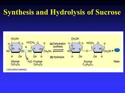 Synthesis s