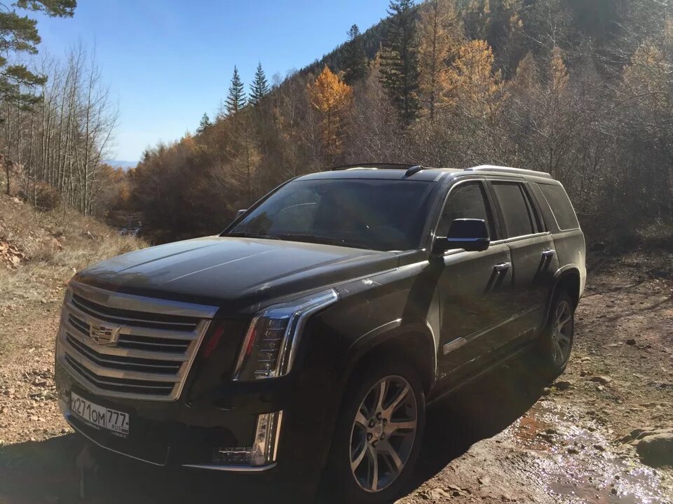 Эскалада в войне теней. Cadillac Escalade 4g. Кадиллак Эскалейд в камуфляже. Кадиллак Эскалейд в лесу. Кадиллак Эскалейд 2015 года.