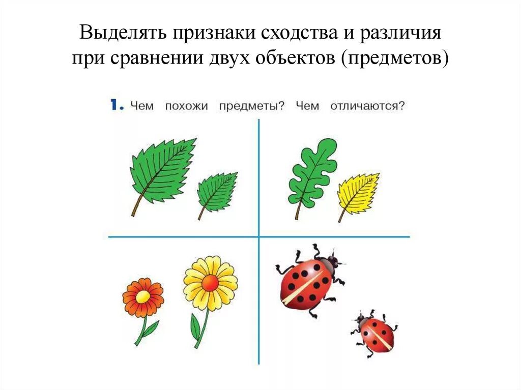 Признаки сходства и различий. Сходства и различия предметов задания для детей. Сравнение двух предметов. Сходства и различия для дошкольников. Сравнение предметов и понятий.