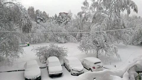 3 snowfall