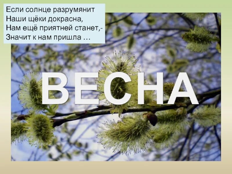 Сценарий в гости к весне. В гости к весне. Презентация в гости к весне. Презентация приход весны.