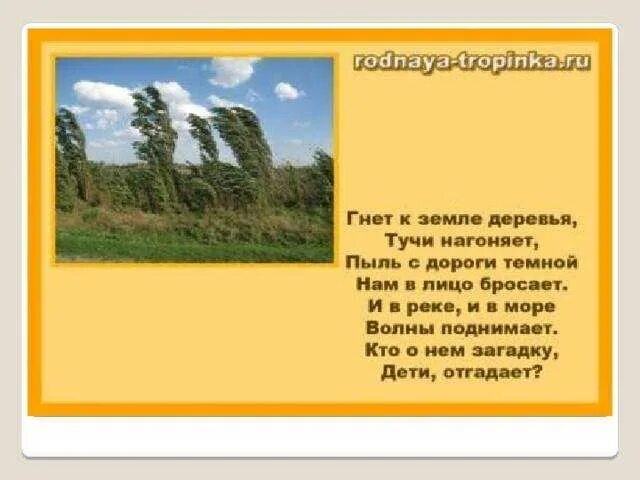 Стихотворение про ветер для детей. Стихи про ветер для детей. Стихи про ветер для детей. Стихи о ветре короткие. Стихи про ветер для детей.