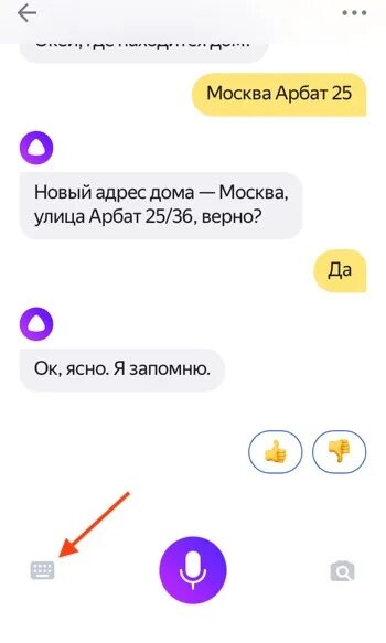 Что делать если нету алисы
