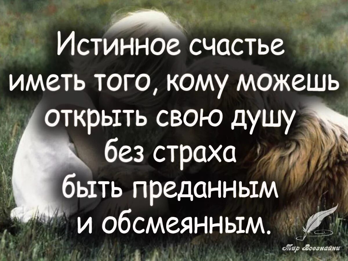 цитаты про счастье со смыслом. цитаты про счастье. фразы про счастье и любовь. цитаты про счастье. счастье это.