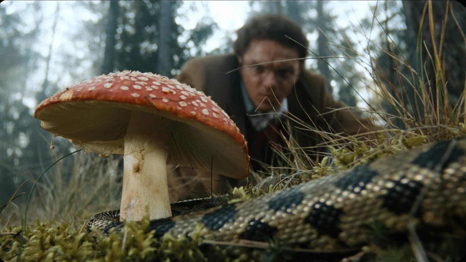 Пелевин generation п фильм. Гиреев дженерейшен пи. Генерейшен пи епифанцев. Generation п фильм мухоморы. Дженерейшен пи ефремов.