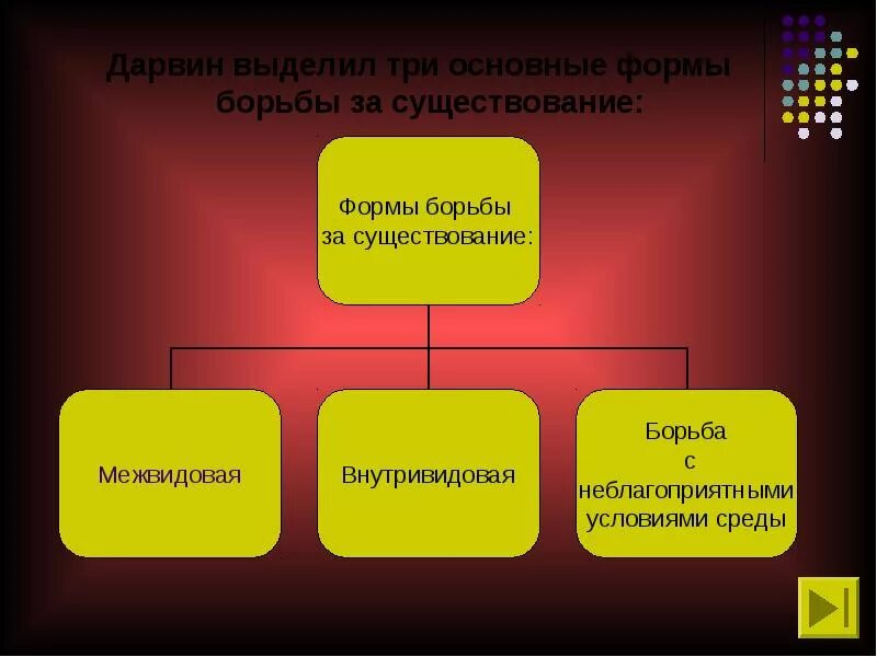 Формы борьбы за существование. Три формы борьбы за существование. Формы борьбы за существование Дарвин. Формы борьбы за существование по Дарвину.