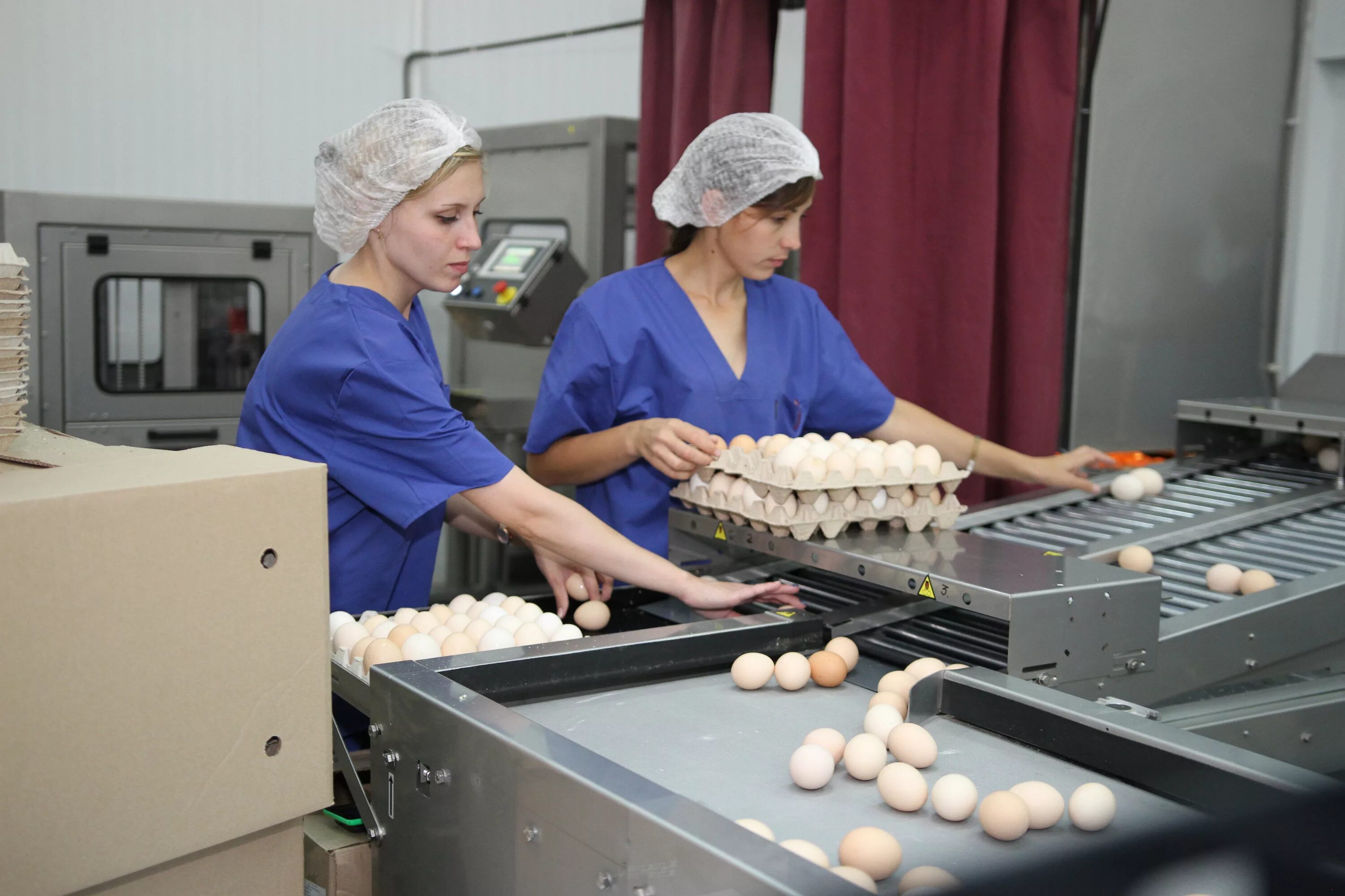 найти работу в благовещенске свежие вакансии. подработка без опыта. подработка ежедневные выплаты. вакансии благовещенск амурская. работа с ежедневной оплатой.