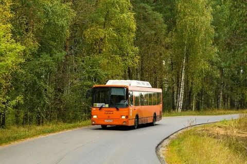 210 автобус нижний новгород расписание пойма