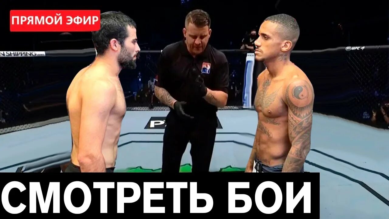 Бой муин гафуров в ufc. Бой самандар муродов прямой эфир. Бой гафуров сегодня прямой эфир. Фото муин гафуров. Муин гафуров последний бой.