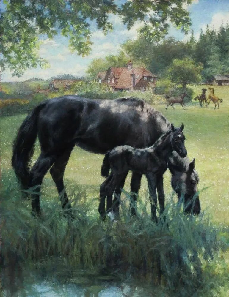 Черный красавчик ( Сьюэлл а. ). Черный красавчик Бирмингем. Книга черный конь