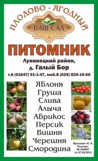 Питомник твой сад