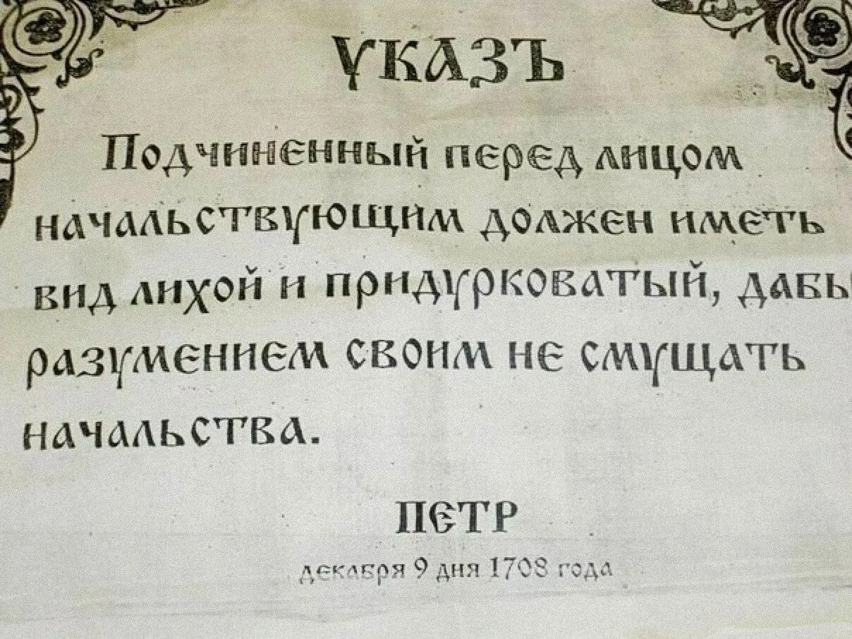 Указ Петра 1 вид придурковатый. Указ Петра Петра 1 подчиненный перед лицом начальствующим. Указ Петра 1709. Указ Петра первого о подчиненных. Иметь вид лихой и