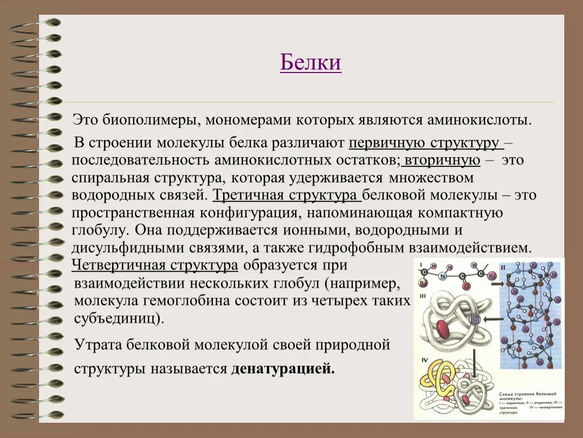 Биополимеры белки структура. Белки биологические полимеры мономерами которых являются. Биологические полимеры белки их структура и функции. Мономер биополимера воды