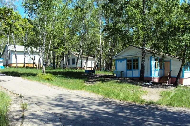 Детский лагерь смена. Лагерь цементник в вольске фото. Лагерь цементник в вольске. Вольский лагерь цементник. Лагерь цементник 2022.