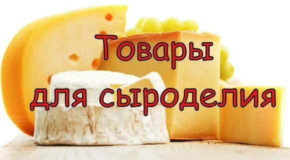 Магазин сыроделия. Магазин сыроделия. Сыроварня. Сыроделие в древности. Староминский завод сыродел.