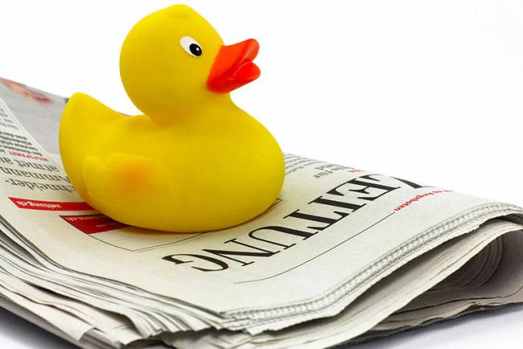 Уточки мандаринки фэн шуй. Уточки значение. Утки мандаринки талисман. Журналистская утка. Мировая уточка славянская мифология.