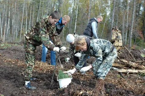 В какой день экологи отмечают свой профессиональный