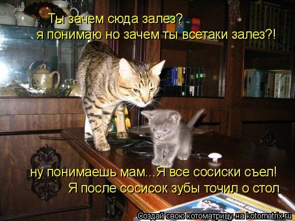 Зачем ты полез. Ну и зачем ты сюда залез?. Зачем ты сюда лезешь?. Ты зачем сюда влез?. Что сюда лезешь а.