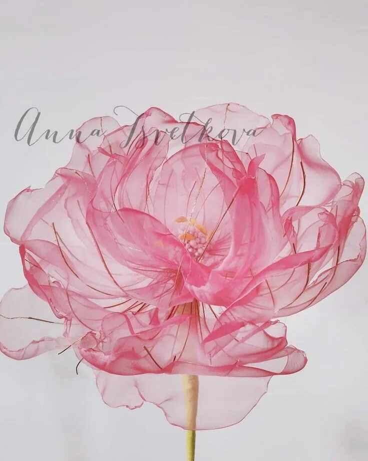 Цветы в технике мастер класс. Витраль пион. Пион из органзы.