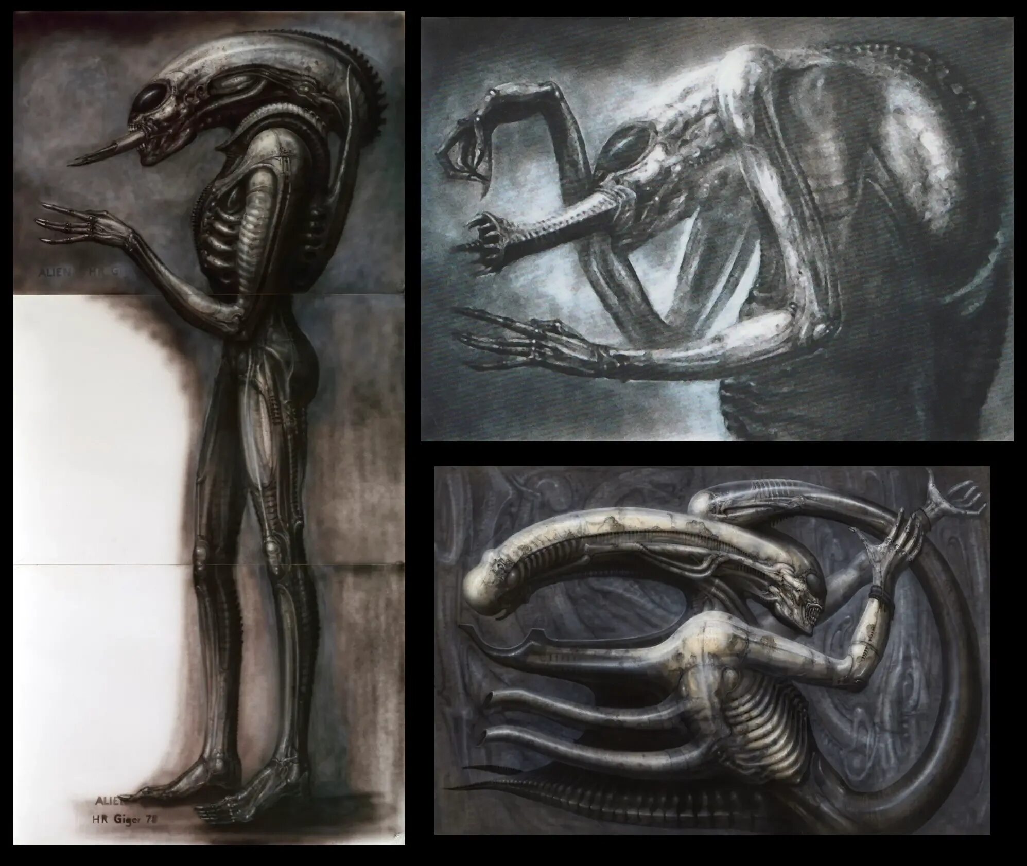 Использование чужих изображений. Планета ксеноморфов. Использование чужих изображений. Чужой 1979 ксеноморф гигера. Ханс гигер некрономикон.